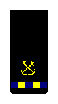 Commissioned Warrant Officer (CWO2) sleeve insignia