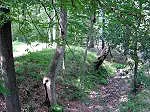 AbbotReunion66.webp