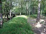 AbbotReunion67.webp
